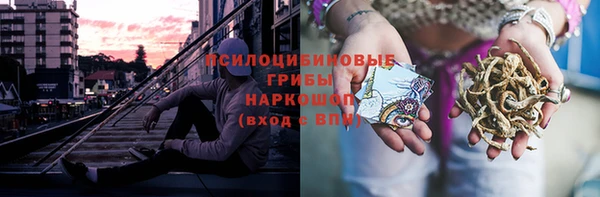 прущий лед Дубна