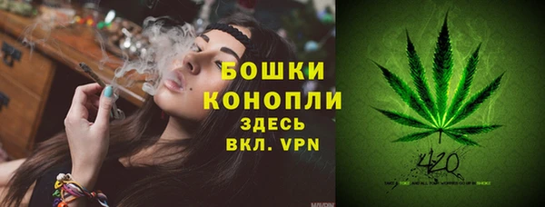 тгк Нязепетровск
