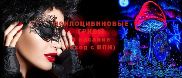 круглые Няндома