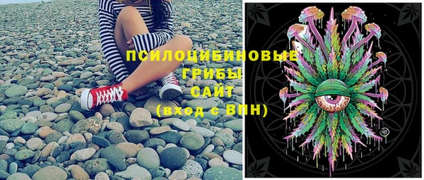 круглые Няндома