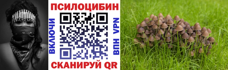 Псилоцибиновые грибы ЛСД  Соль-Илецк 