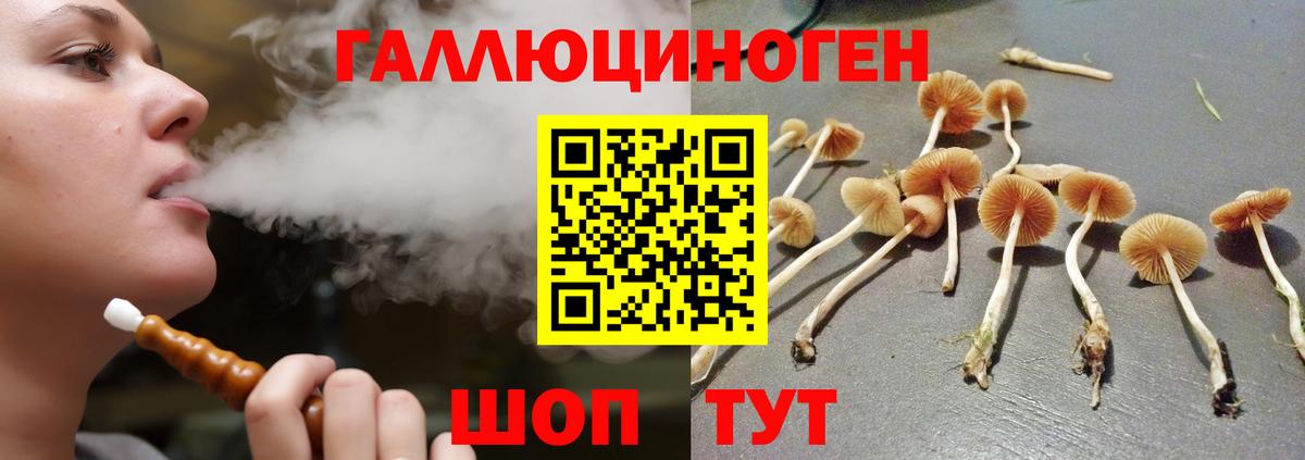 Галлюциногенные грибы MAGIC MUSHROOMS Соль-Илецк