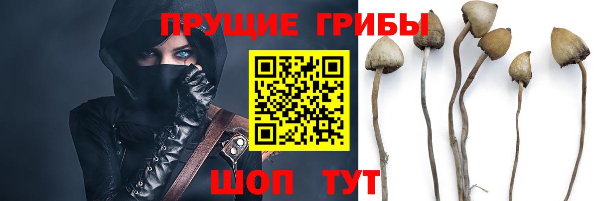 Галлюциногенные грибы мицелий  Вход с VPN  Соль-Илецк 